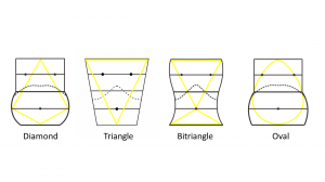 Four Torso Basic Outlines