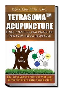 Tetrasoma Acupuncture 3D Book