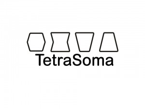 Tetrasoma Logo